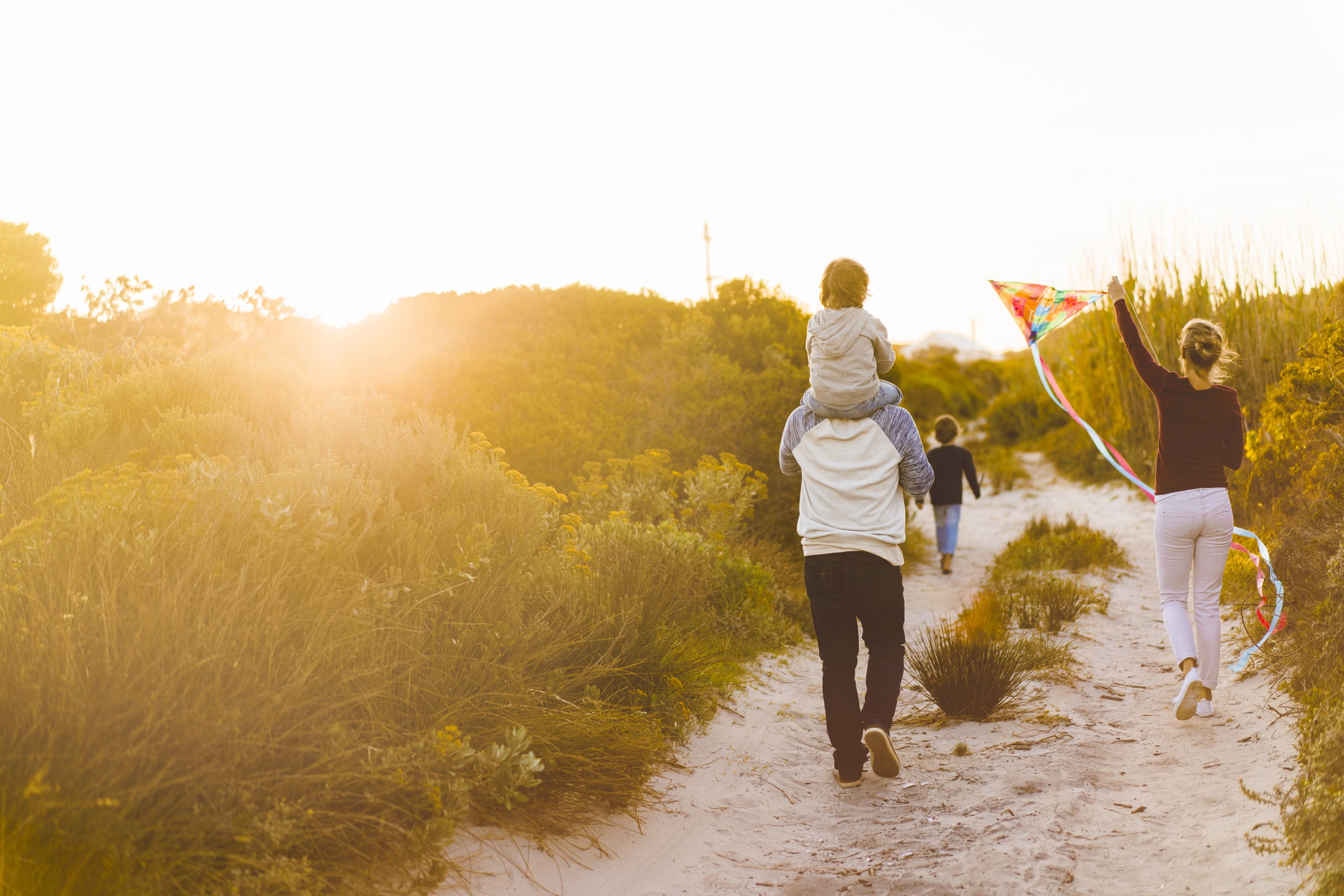 A photo of family walking on sandy footpath amidst plants. Father is carrying son on shoulders during summer. Rear view of woman flying kite in nature.