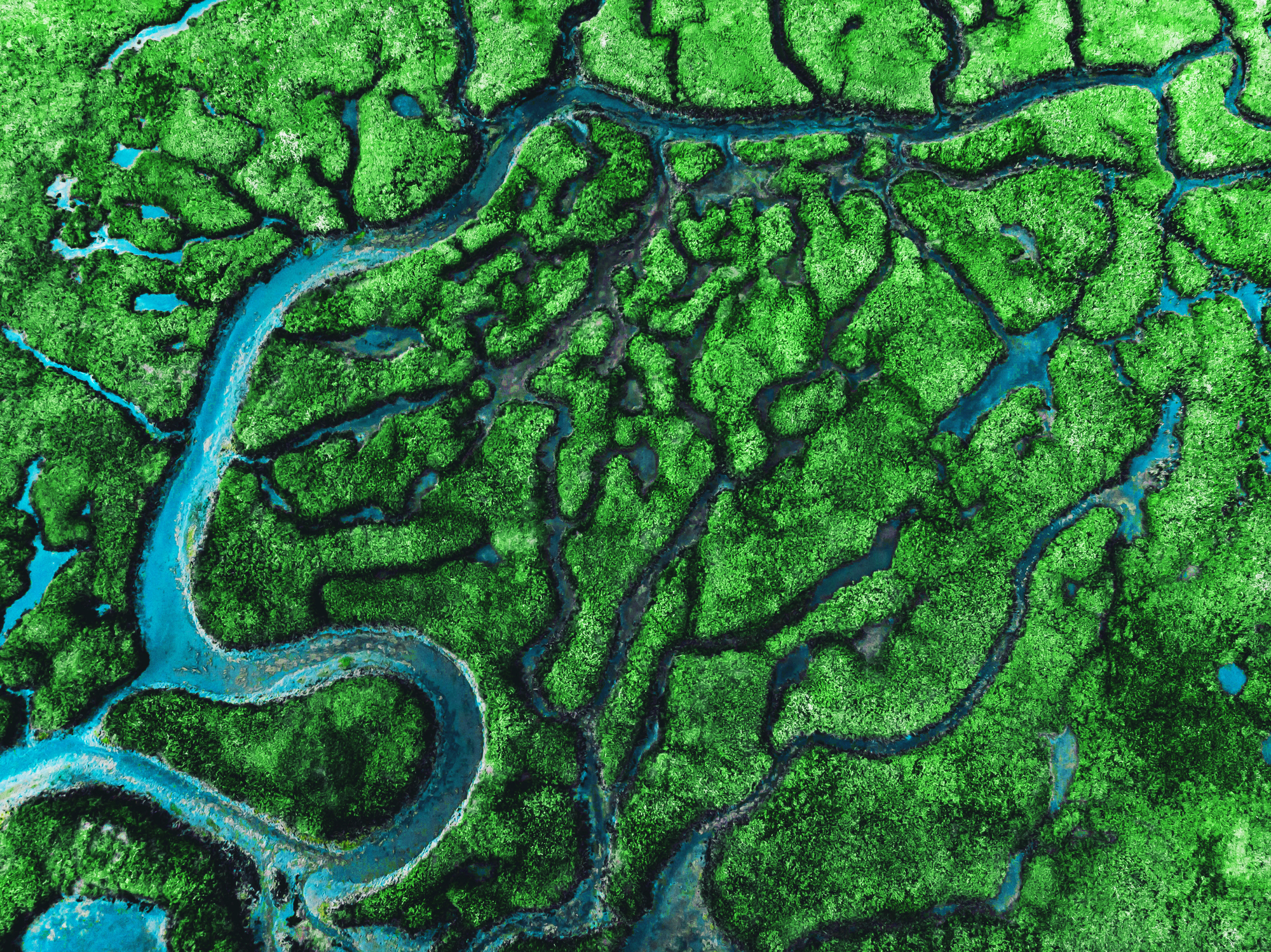 Beautiful aerial view of meander river with affluents and green vegetation.