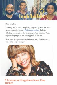 Buddhability newsletter