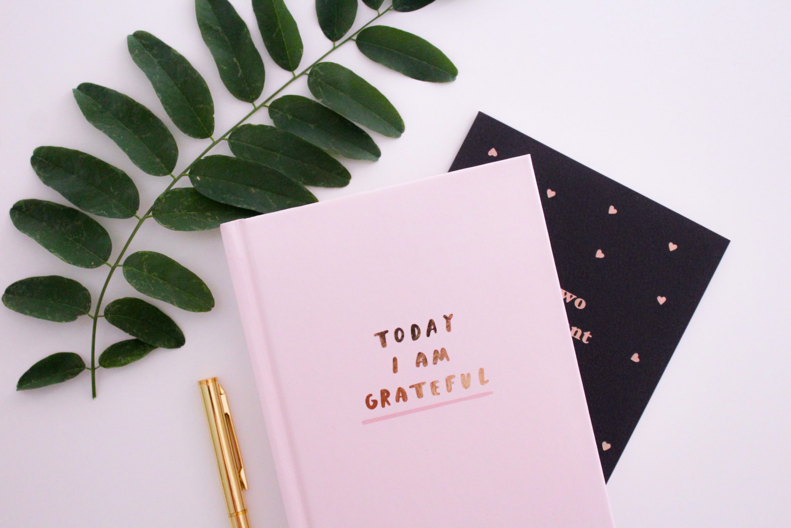 Gabrielle Henderson / Unsplash