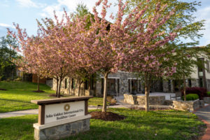 The Daisaku and Kaneko Ikeda cherry trees are in full bloom at the SGI-USA Washington, D.C., Culture Center, April 2021.