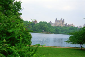 An expansive view of New York City’s Central Park, photographed by Ikeda Sensei during his visit in June 1996.