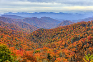 Autumn colors in Great Smoky Mountains National Park, North Carolina.