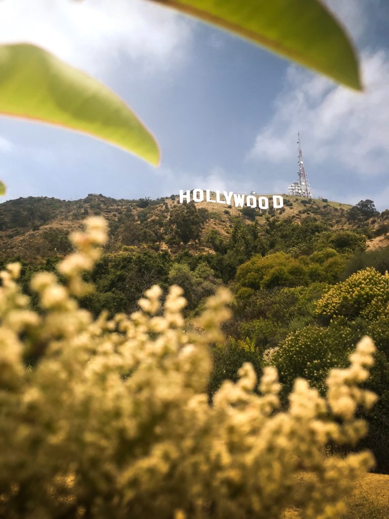 Hollywood sign looking through the trees