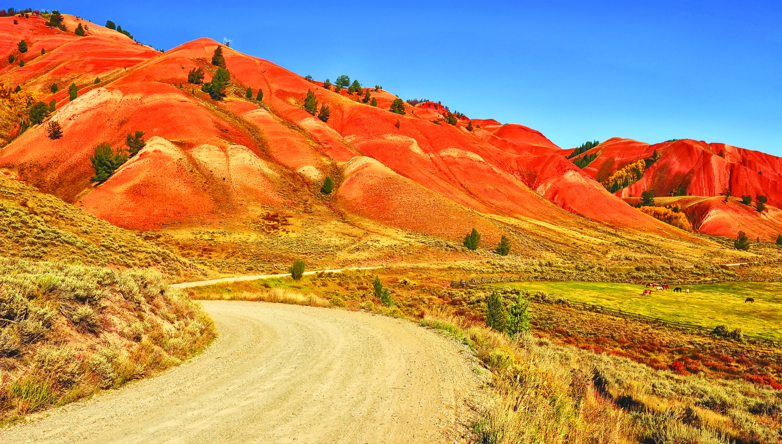 Dirt road in Bridger-Teton National forest leads to red hills of western Wyoming.