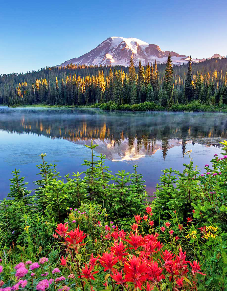 Mount Rainier National Park Washington World Tribune