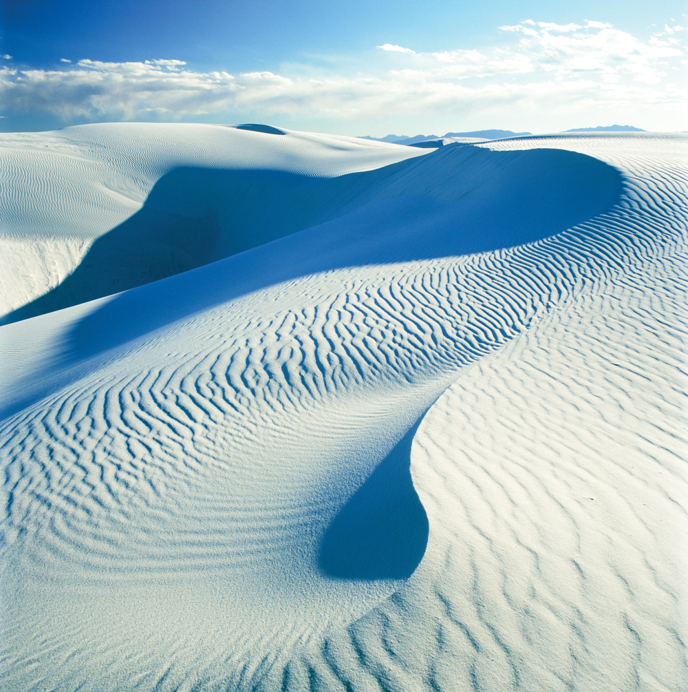 Are Dogs Allowed At White Sands National Park