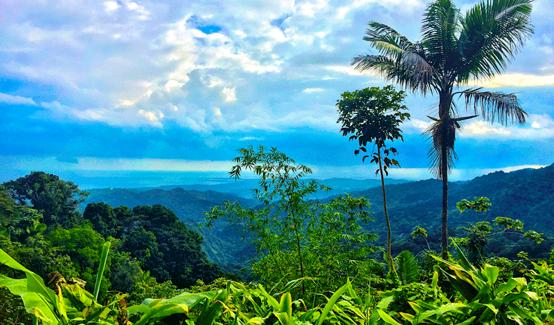 El Yunque National Forest Puerto Rico World Tribune El Yunque National Forest Puerto Rico World Tribune