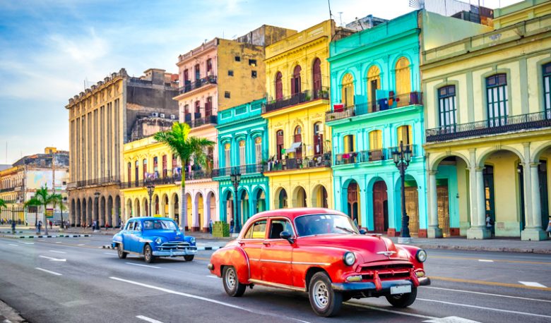 havana sneakers womens