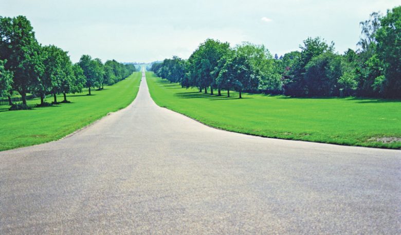 A Path at Windsor - World Tribune
